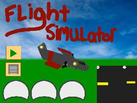 Flight Simulator 1