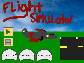 Flight Simulator 1