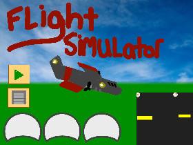 Flight Simulator 1