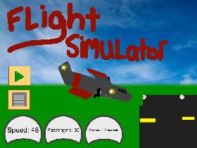 Flight Simulator 1