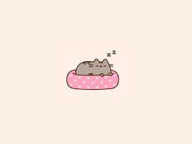 My Pusheen's rountine!