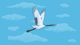 crane flight