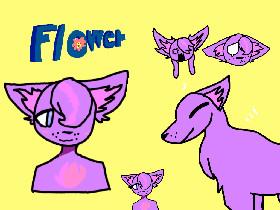 Hello! I’m Flower! <3 >w<