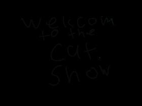 the cat show