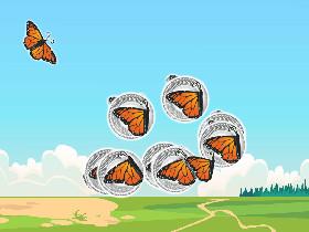 Butterfly swich