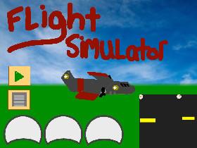 Flight Simulator 1