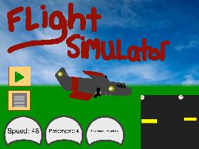 Flight Simulator 1