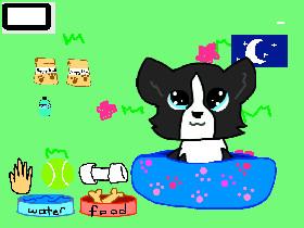 Pets (candela c m )