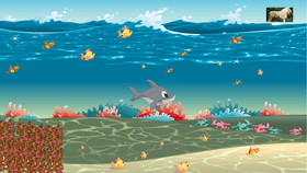 shark swim