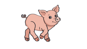 Pig