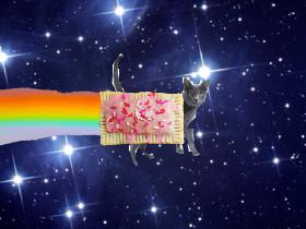 Real nyan cat 1