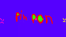 pin  pon