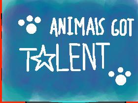 🐶Animal’s Got Talent🐶 1