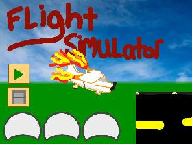 Flight Simulator 1