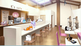 Cat cafe (more features)