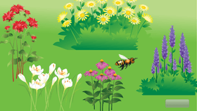 Bee Game