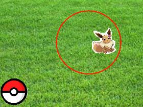 Catch eevee