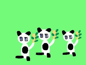 my danceing pandas! 