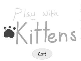 Play with kittens 1