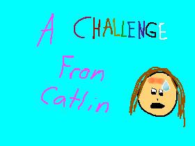 A Challenge From Catlin