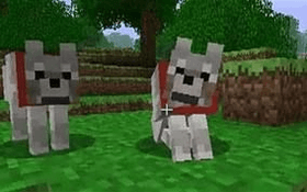 Minecraft Doggy/Wolf