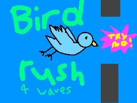 bird rush (4 waves) 1 6