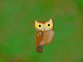 Owl speed Draw  1