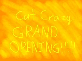 Cat Crazy: GRAND OPENING!!!!!