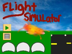 Flight Simulator 1