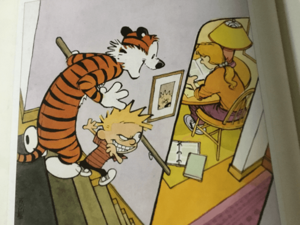 calvin and hobbes!