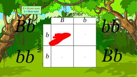 Punnett Square - TEMPLATE