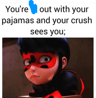 ladybug and catnoir memes 1