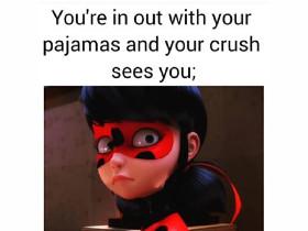 ladybug and catnoir meme