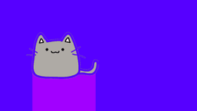 color cat