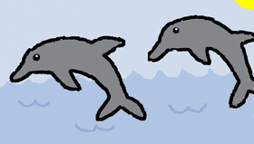 Week 3: Dolphins!