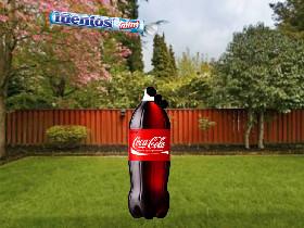 mentos in coke 1