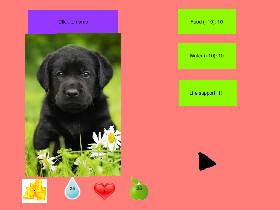 Black lab sim