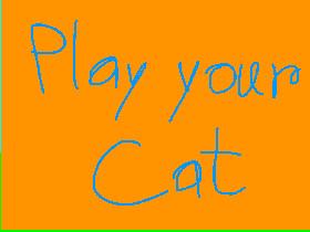 Play your Cat - 2D Game 1