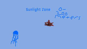 SEA ZONES