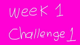 Week 1 Challenge 1