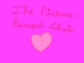 The Picture-Purrfect Club!