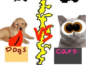 Dogs vs Cats!!🐈🐕 1