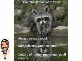 2020 Mascot 🦝