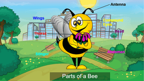 Parts of a Bee - TEMPLATE