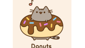 🍩😺DONUT PUSHEEN😺🍩