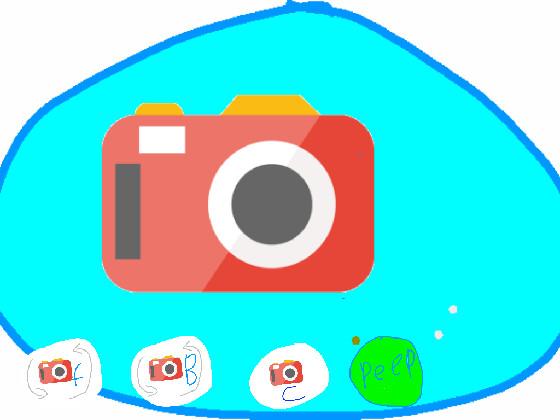 camera 1