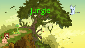 space and jungle