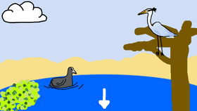 Lake Simulator