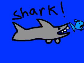 Shark! the orgin