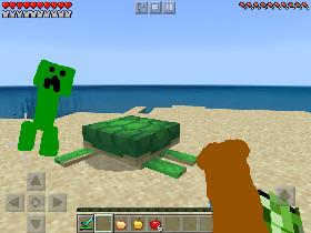 minecraft beach